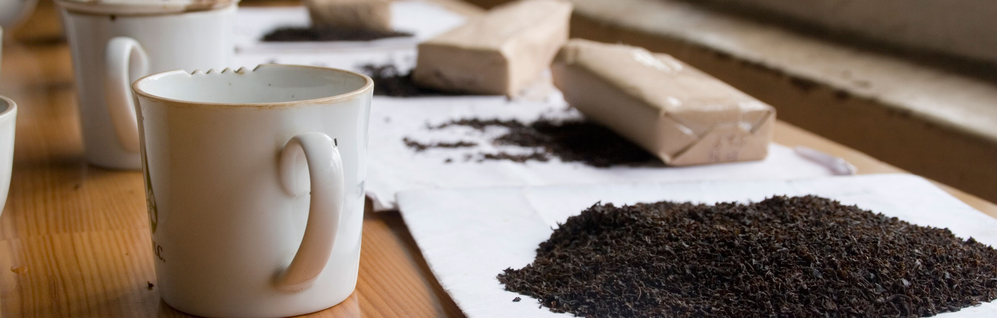 Nuo krūmo į puodelį