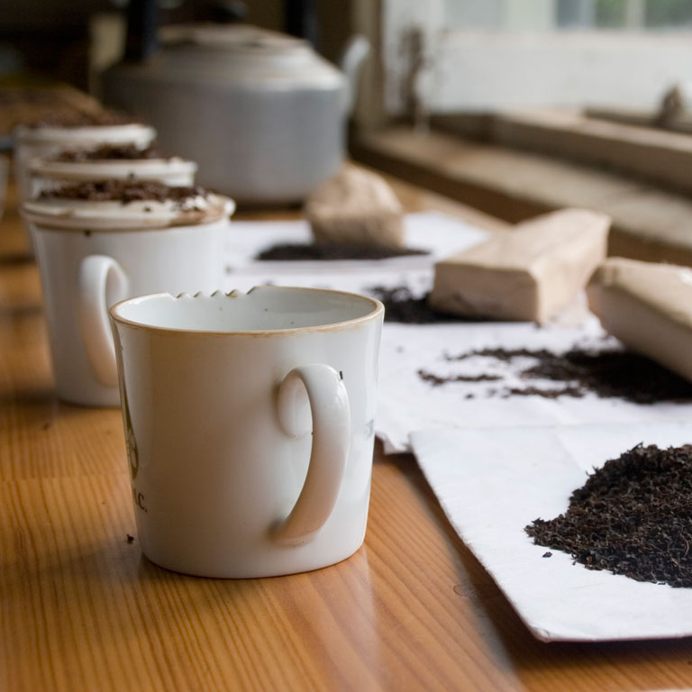 Nuo krūmo į puodelį