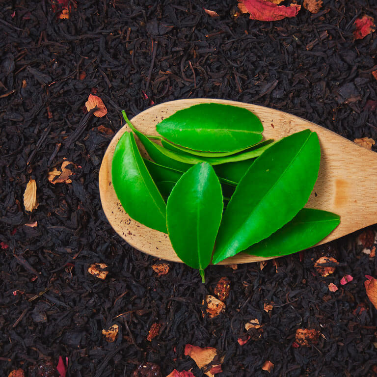 Iš kur atkeliauja arbata